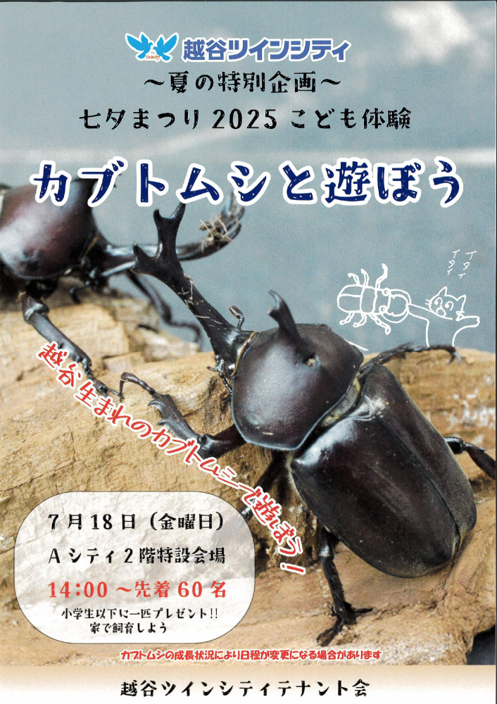 カブトムシと遊ぼう