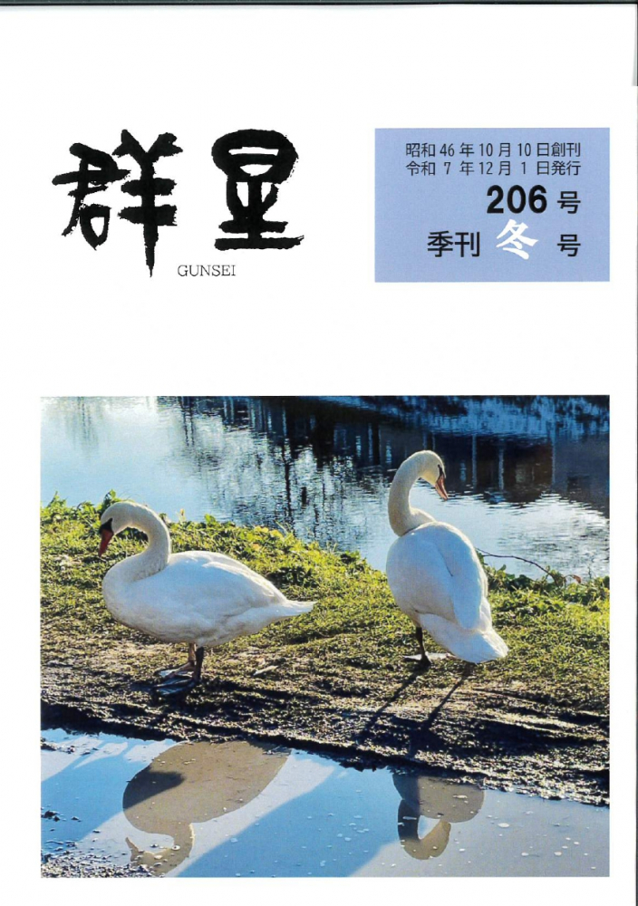 群星206号季刊冬号