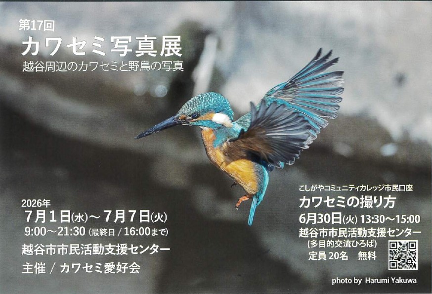 第17回　カワセミ写真展