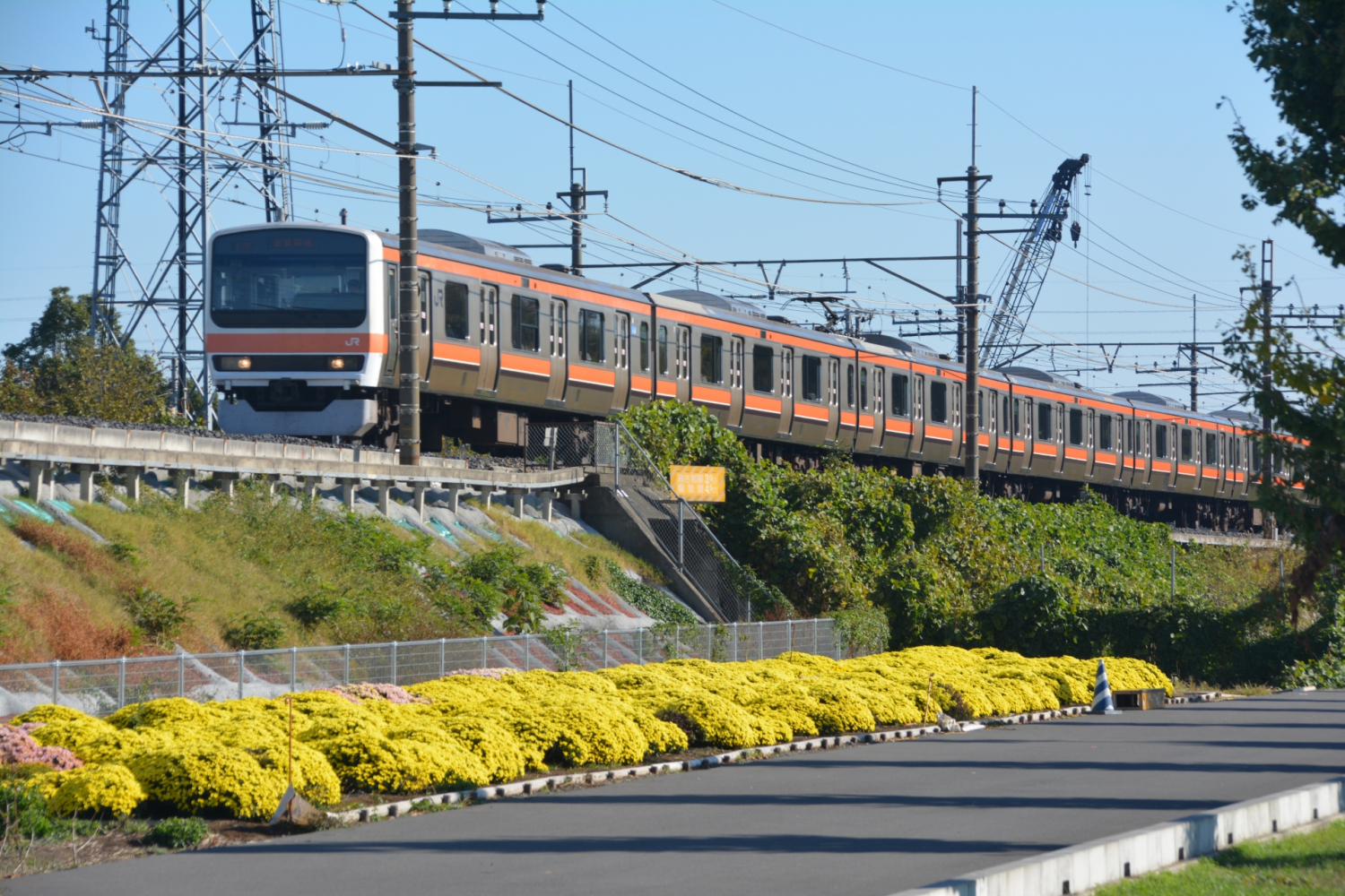 越谷市内の市民情報が満載！