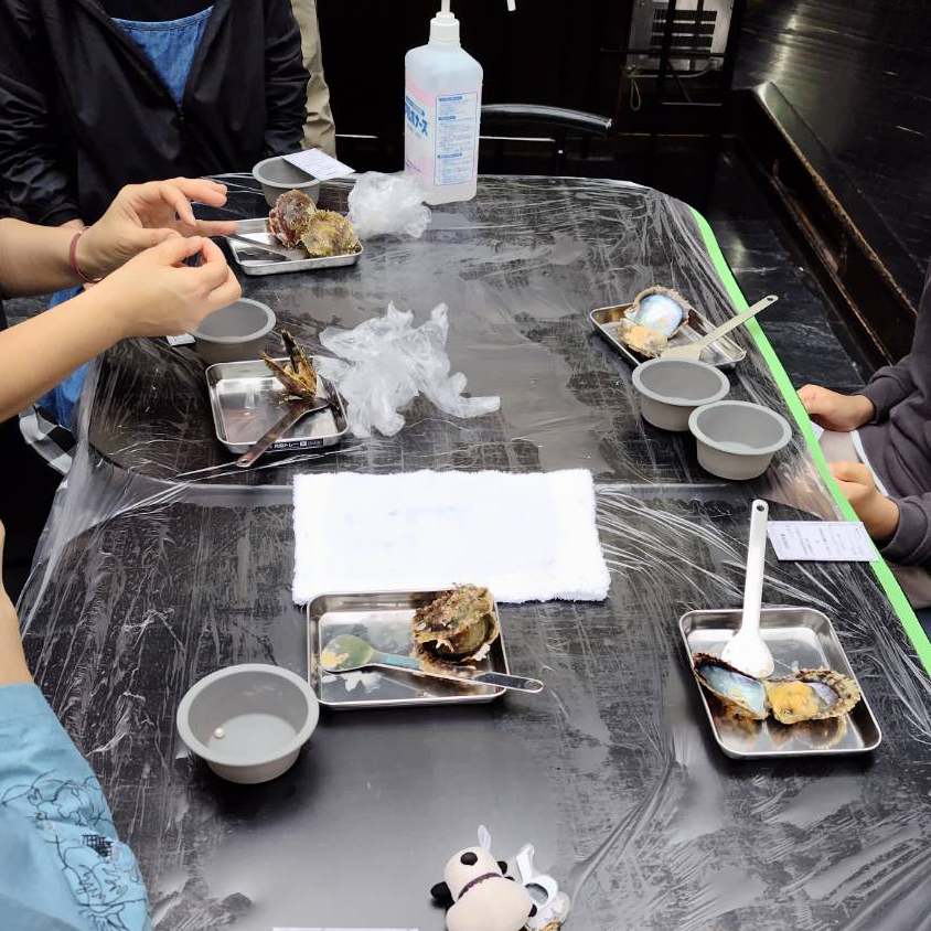 真珠のワークショップA【12/7（日）】